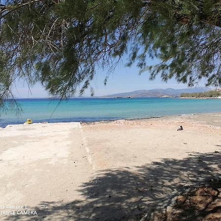 Beach N Fun Bbq Fireplace Saronida Ruang foto
